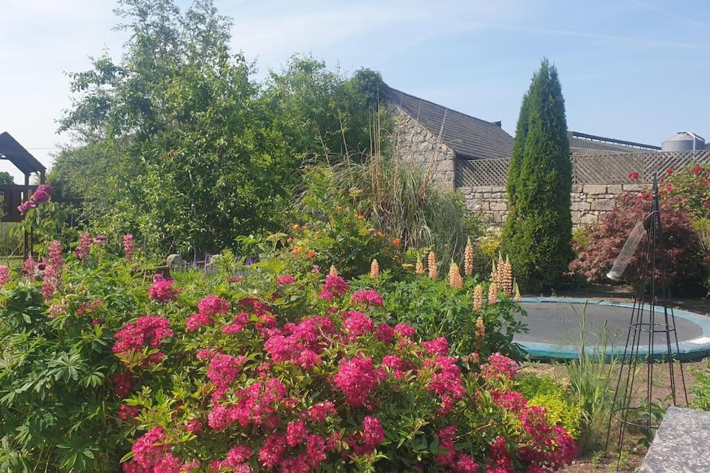 Grove Cottage At The Lodge Tullow Εξωτερικό φωτογραφία